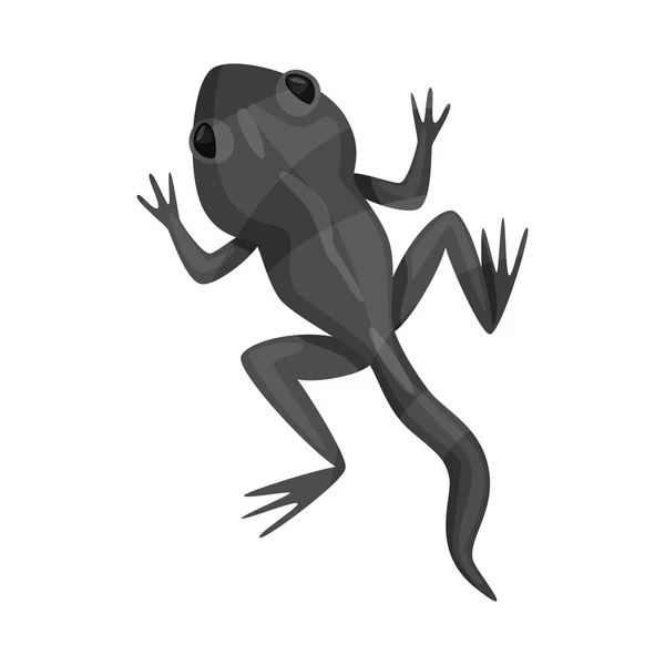 Векторная иллюстрация жабы и зеленой иконы. Набор жаб и токсичных символов запасов для паутины . — стоковый вектор