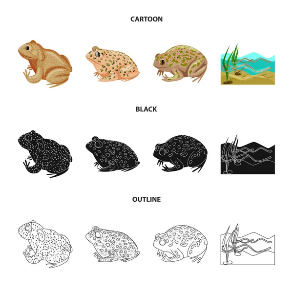 Isolated object of wildlife and bog logo. Set of wildlife and reptile vector icon for stock. — Stock Vector