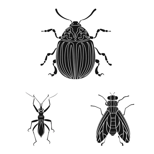 Ilustracja wektorowa owadów i mucha symbolu. Kolekcja owadów i element Stockowa ilustracja wektorowa. — Wektor stockowy