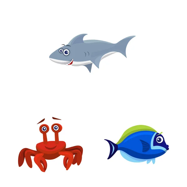 Ilustración vectorial del símbolo marino y animal. Colección de símbolo de stock marino y marino para web . — Vector de stock