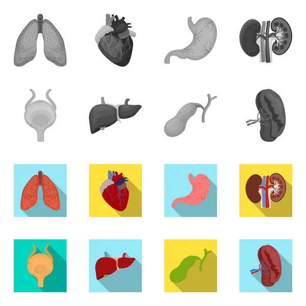 Objeto isolado de corpo e logotipo humano. Conjunto de corpo e estojo médico ilustração vetorial . — Vetor de Stock