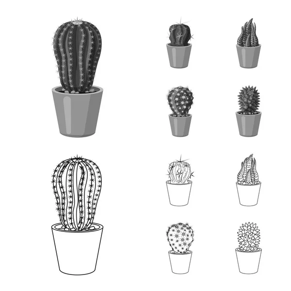 Objeto aislado de cactus y signo de maceta. Colección de cactus y cactus stock vector ilustración . — Archivo Imágenes Vectoriales