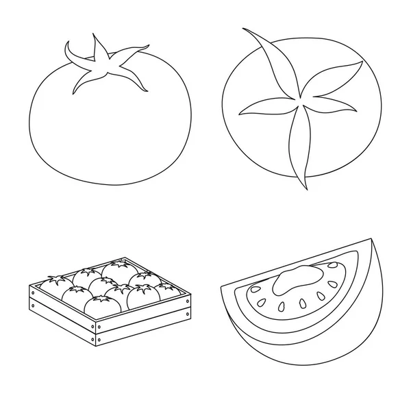 Изолированный объект томата и логотип диеты. Коллекция томатов и векторных икон для сельского хозяйства на складе . — стоковый вектор