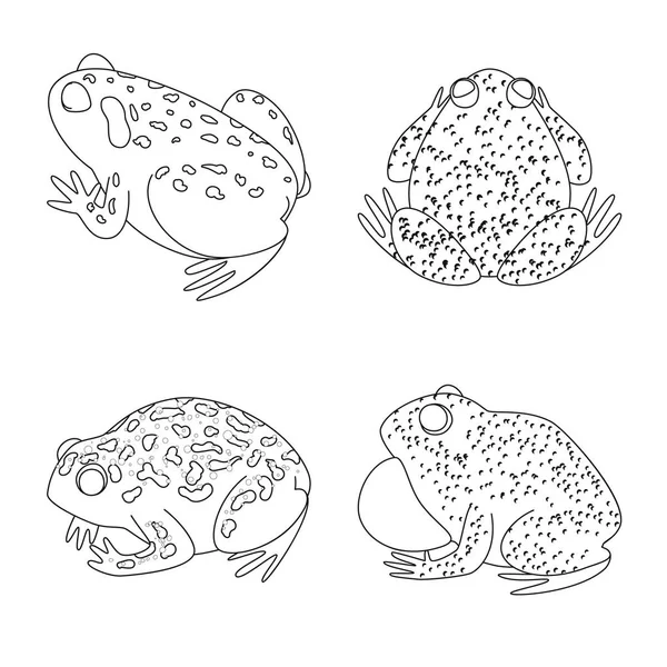 Illustrazione vettoriale del logo anfibio e animale. Raccolta di illustrazioni vettoriali anfibie e di stock naturali . — Vettoriale Stock
