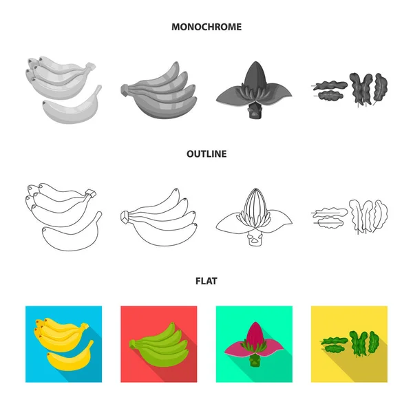 Diseño vectorial del logotipo natural y vegetariano. Colección de naturales y comer icono de vectores para la acción . — Archivo Imágenes Vectoriales