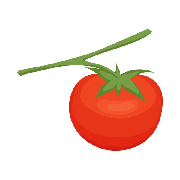 Objeto isolado de tomate e sinal vermelho. Conjunto de tomate e ícone vetorial maduro para estoque . —  Vetores de Stock