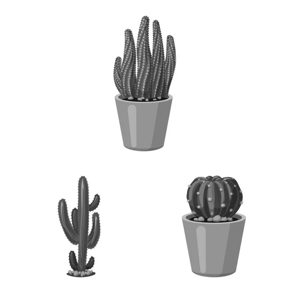 Illustration vectorielle du cactus et signe du pot. Collection d'icônes vectorielles cactus et cactus en stock . — Image vectorielle