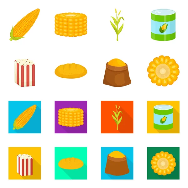 Objeto aislado de maizal y signo vegetal. Conjunto de maizal y símbolo de stock vegetariano para web . — Vector de stock