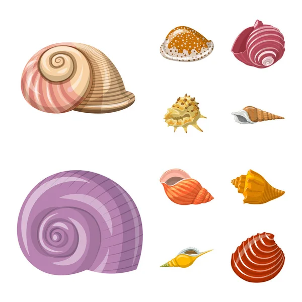 Geïsoleerd object van Seashell en weekdier logo. Set van Seashell en zeevruchten vector pictogram voor voorraad. — Stockvector