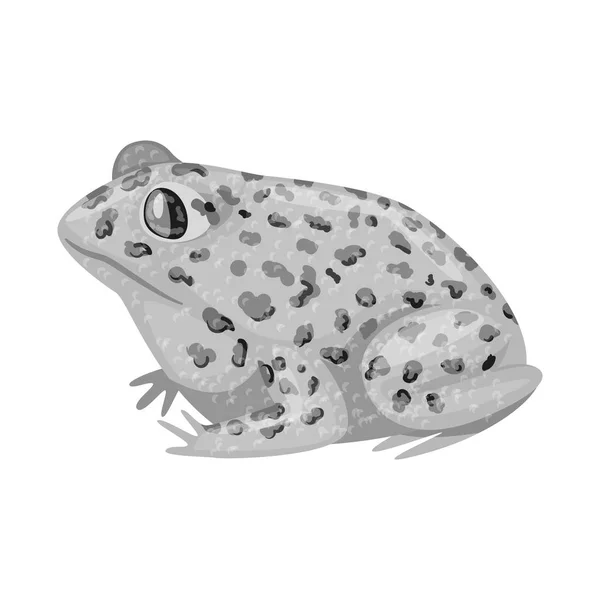 Ізольований об'єкт жаби та тропічного символу. Набір символів жаби і точок для Інтернету . — стоковий вектор