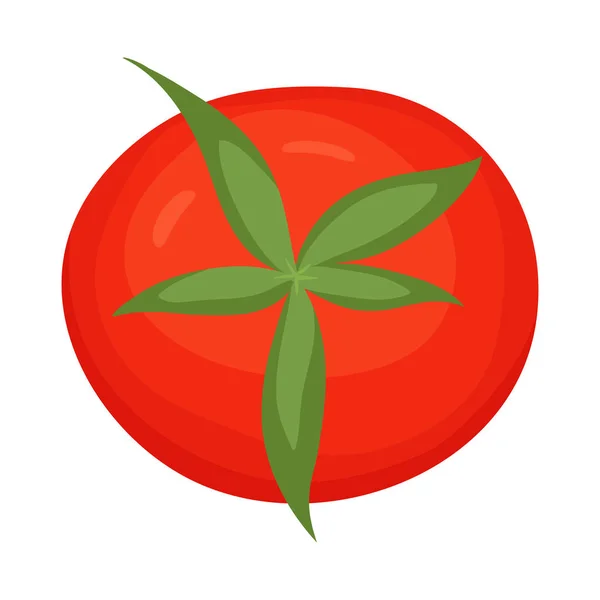 番茄和红色标志的矢量设计。番茄和天然矢量图标的收集. — 图库矢量图片