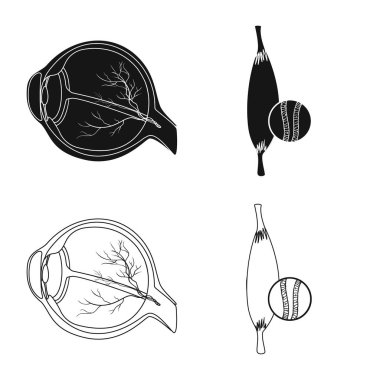 Vücut ve insan işareti vektör tasarımı. Vücut ve hisse senedi için tıbbi vektör ikon koleksiyonu.