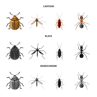 Böcek ve sinek işareti vektör tasarımı. Böcek ve öğe hisse senedi vektör çizim topluluğu.