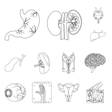 Vücut ve insan işareti yalıtılmış nesne. Vücut ve web için tıbbi hisse senedi simgesi toplama.