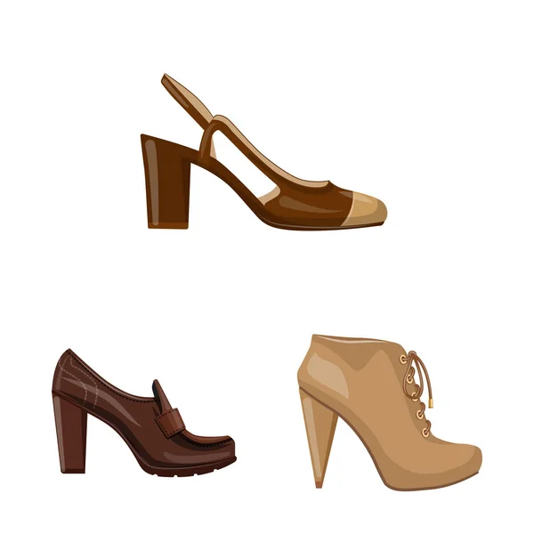 Vektor design av skodon och kvinna tecken. Insamling av skor och fot vektor ikonen för lager. — Stock vektor