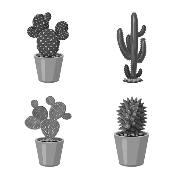 Векторная иллюстрация кактуса и символа горшка. Набор векторных значков кактусов и кактусов на складе . — стоковый вектор