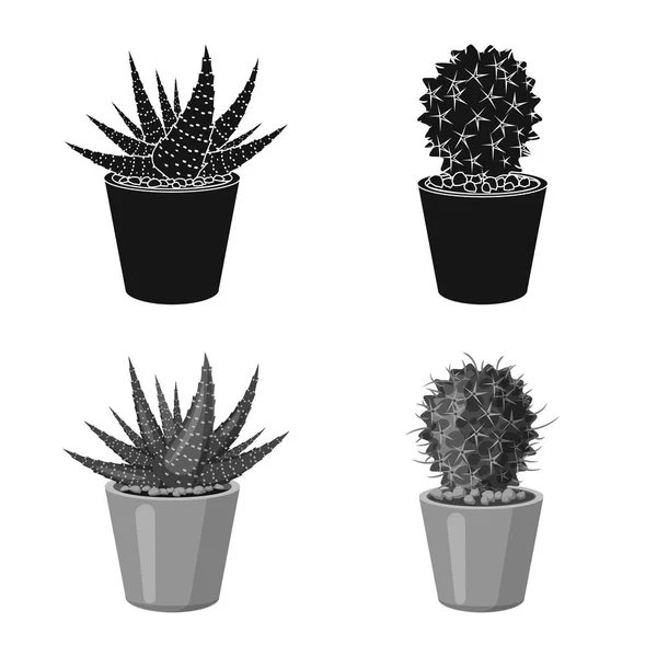 Diseño vectorial de cactus e ícono de maceta. Colección de cactus y cactus símbolo de stock para web . — Vector de stock