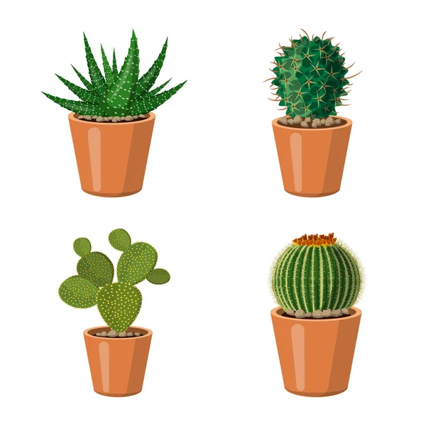 Oggetto isolato di cactus e icona pentola. Raccolta di cactus e cactus stock illustrazione vettoriale . — Vettoriale Stock