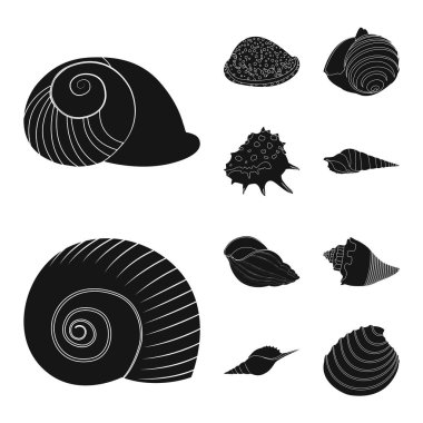 Doğa ve okyanus işareti izole nesne. Stok için doğa ve yumuşakça vektör simgesi koleksiyonu.