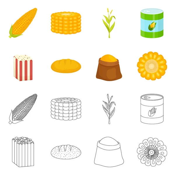 Vector illustration of cornfield and vegetable icon. Set of cornfield and vegetarian stock symbol for web. — Stock Vector