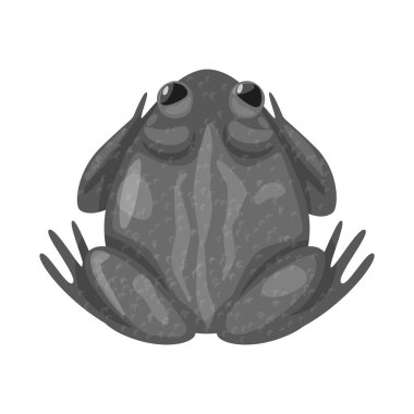 Kurbağa ve biyoloji işareti vektör tasarımı. Stok için kurbağa ve tropikal vektör simgesi kümesi.