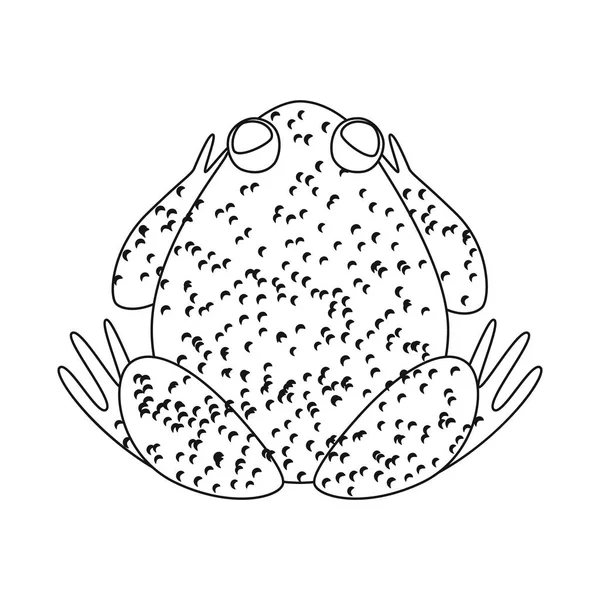 Vektor illustration av padda och biologi tecken. Insamling av TOAD och tropiska Stock Vector illustration. — Stock vektor