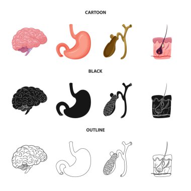 Vücut ve insan sembolü yalıtılmış nesne. Vücut ve tıbbi hisse senedi vektör çizim.