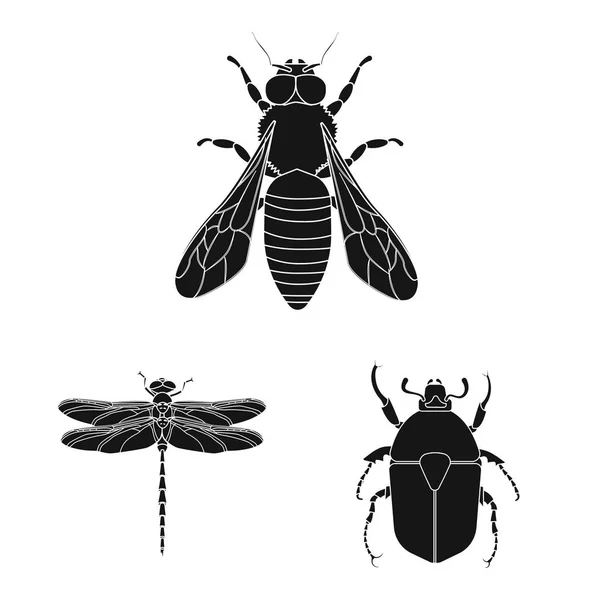 Conception vectorielle de signes d'insectes et de mouches. Collection d'insectes et d'éléments symbole de stock pour la toile . — Image vectorielle