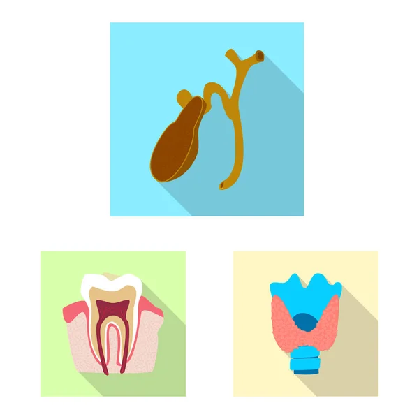 Elkülönített objektum a test és az emberi logó. Test és az orvosi stock vektor illusztráció. — Stock Vector