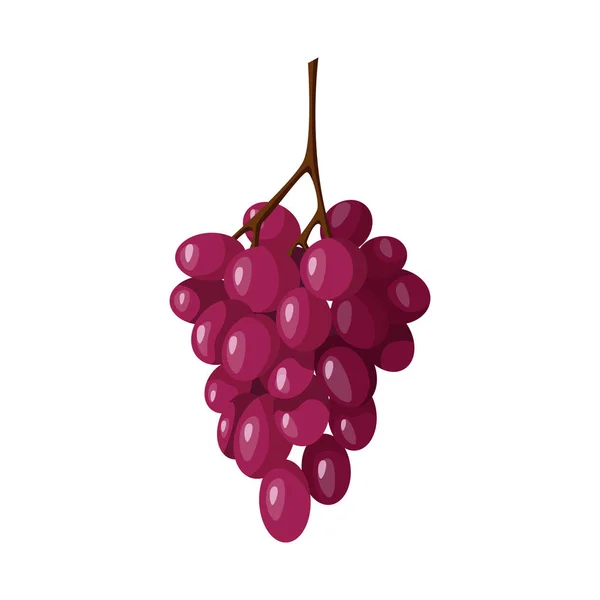 Vector illustration of bunch and grape symbol. Set of bunch and wine vector icon for stock. — Stock Vector
