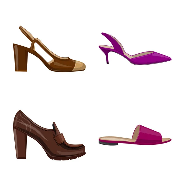 Ilustración vectorial de calzado y signo de mujer. Set de calzado y pie vector icono para stock . — Vector de stock