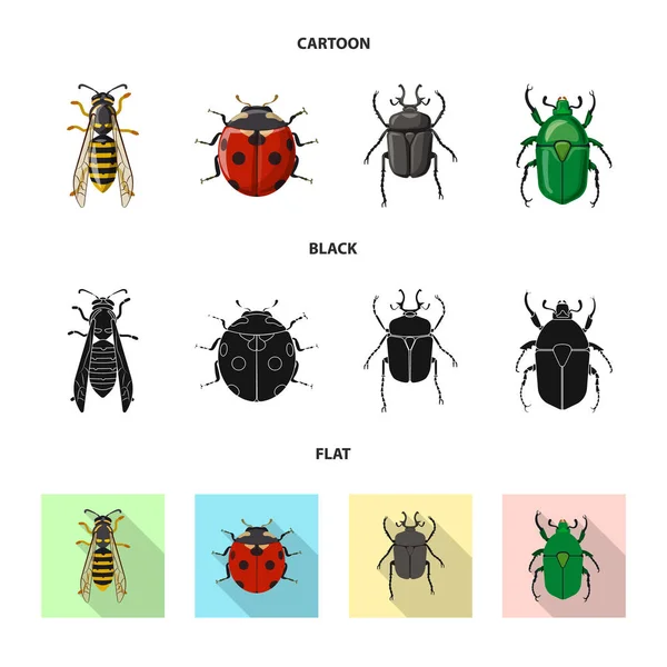 Vektorillustration von Insekten- und Fliegenzeichen. Sammlung von Insekten- und Elementaktivvektordarstellungen. — Stockvektor