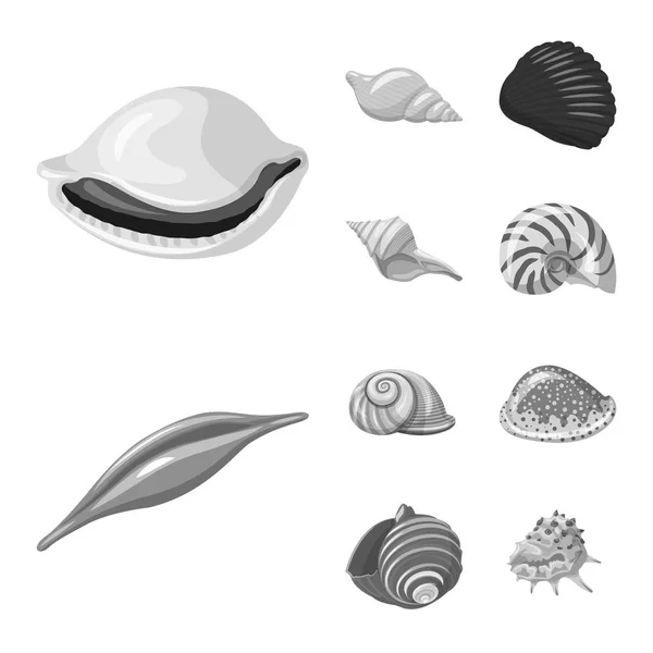 Vector illustratie van aquarium en aquatische symbool. Collectie van aquarium en decoratie vector pictogram voor voorraad. — Stockvector