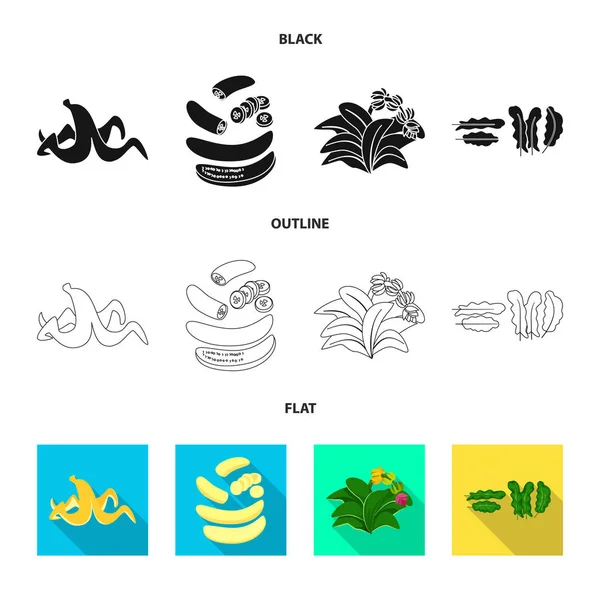 Ilustración vectorial de símbolo natural y vegetariano. Conjunto de ilustración de vectores naturales y alimenticios . — Vector de stock