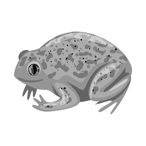 Kurbağa ve tropikal simge vektör tasarımı. Web için kurbağa ve yeşil stok sembolü kümesi. — Stok Vektör