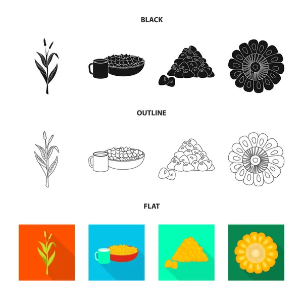 Vektoros illusztráció búzatábla és növényi ikon. Búzatábla és vegetáriánus vektor ikon készletek. — Stock Vector
