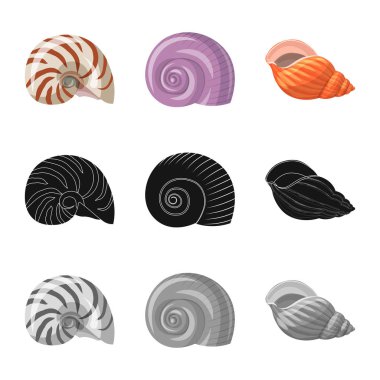 Hayvan ve dekorasyon simge vektör tasarımı. Hayvan ve okyanus hisse senedi vektör çizim topluluğu.