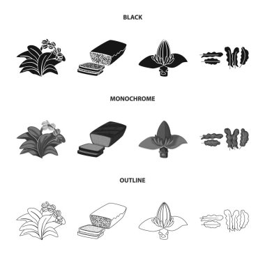 Doğal ve vejetaryen logosu yalıtılmış nesne. Hisse senedi için doğal ve yeme vektör simge kümesi.