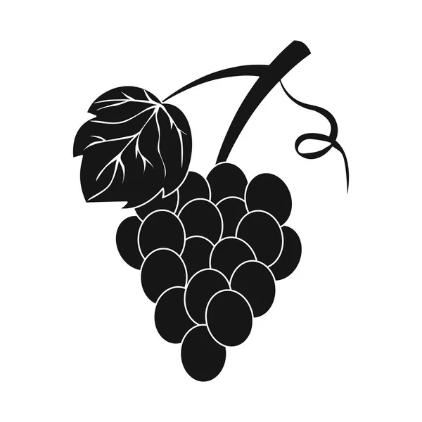 Objeto aislado del icono de uva y racimo. Conjunto de ilustración de vectores de cepas y frutas . — Vector de stock
