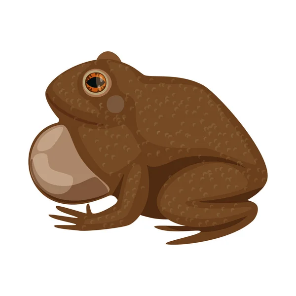 Vector illustratie van Toad en biologie teken. Collectie Toad en bruin Stock vector illustratie. — Stockvector