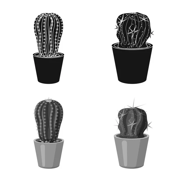 Na białym tle obiekt symbolu Kaktus i doniczkę. Zestaw Kaktus i kaktusy symbol giełdowy dla sieci web. — Wektor stockowy