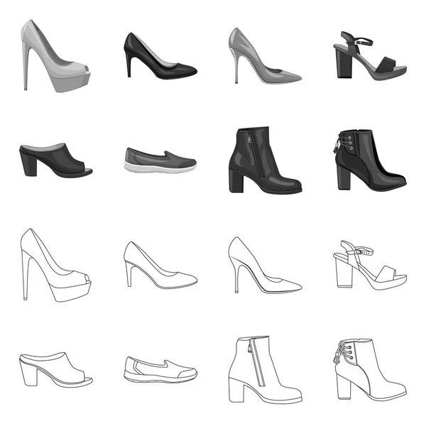 Izolovaný objekt obuvi a žena loga. Sada obuvi a nohu burzovní symbol pro web. — Stockový vektor