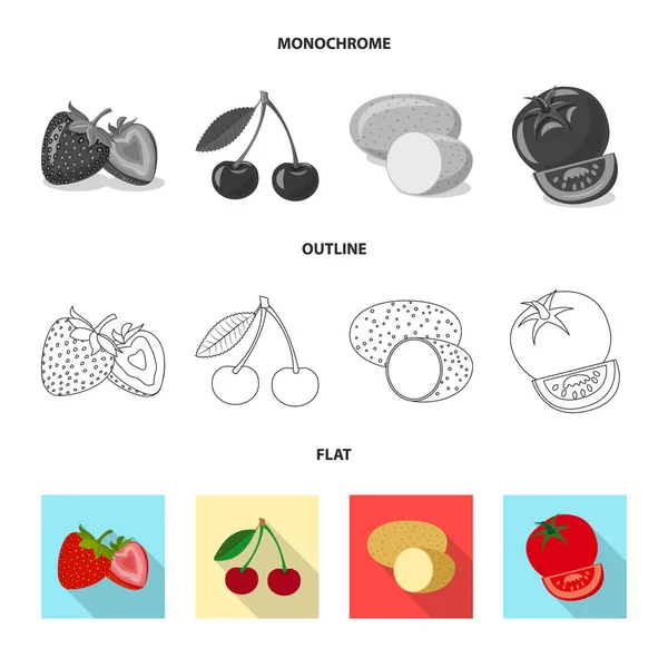 Ilustración vectorial de signo vegetal y frutal. Conjunto de icono de vector vegetal y vegetariano para stock . — Archivo Imágenes Vectoriales