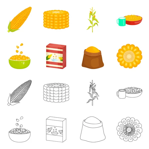 Isolierte Objekt von Maisfeld und Gemüse Zeichen. Set von Maisfeldern und vegetarischer Vektorillustration. — Stockvektor