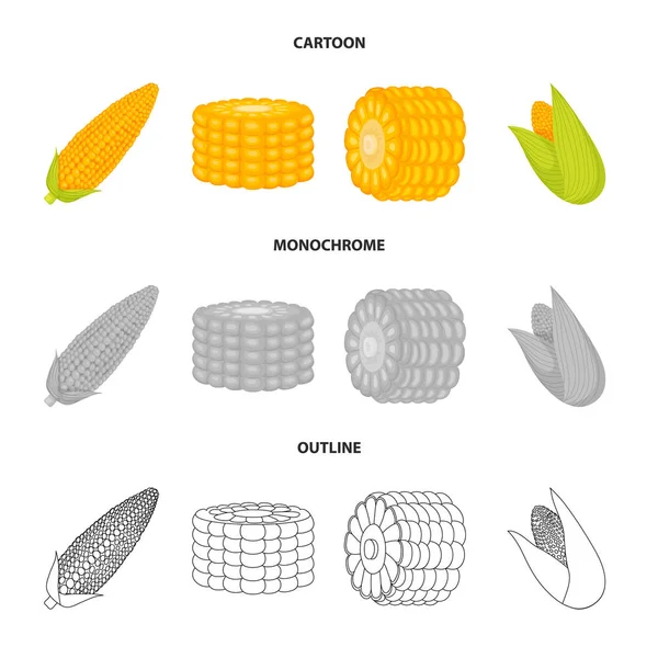 畑と野菜のシンボルの孤立したオブジェクト。Web のトウモロコシ畑やベジタリアンの銘柄記号のセット. — ストックベクタ