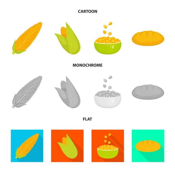 Objeto isolado de campo de milho e ícone vegetal. Coleção de campo de milho e ilustração vetorial de estoque vegetariano . — Vetor de Stock