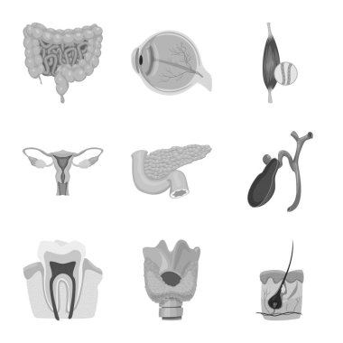 Vücut ve insan logo vektör tasarımı. Vücut ve web için tıbbi hisse senedi simgesi toplama.