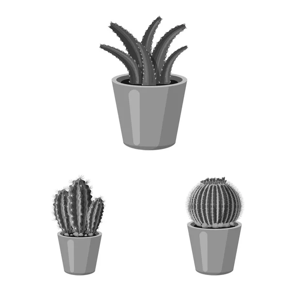 Vector afbeelding van de cactus en pot teken. Collectie van de cactus en cactussen vector pictogram voor voorraad. — Stockvector