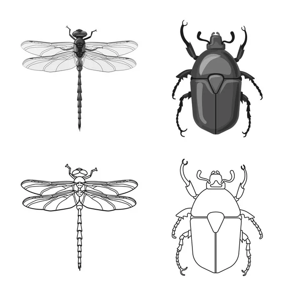 Vektorillustration des Insekten- und Fliegenlogos. Sammlung von Insekten- und Elementaktivvektordarstellungen. — Stockvektor