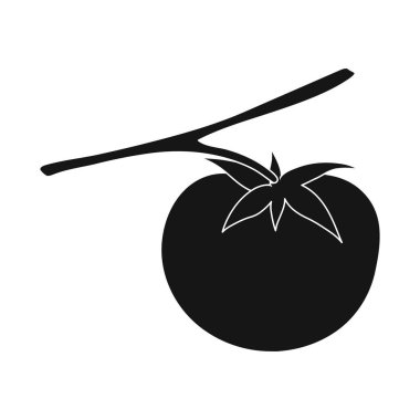 Domates ve kırmızı simge izole nesne. Stok için domates ve olgun vektör simgesi koleksiyonu.